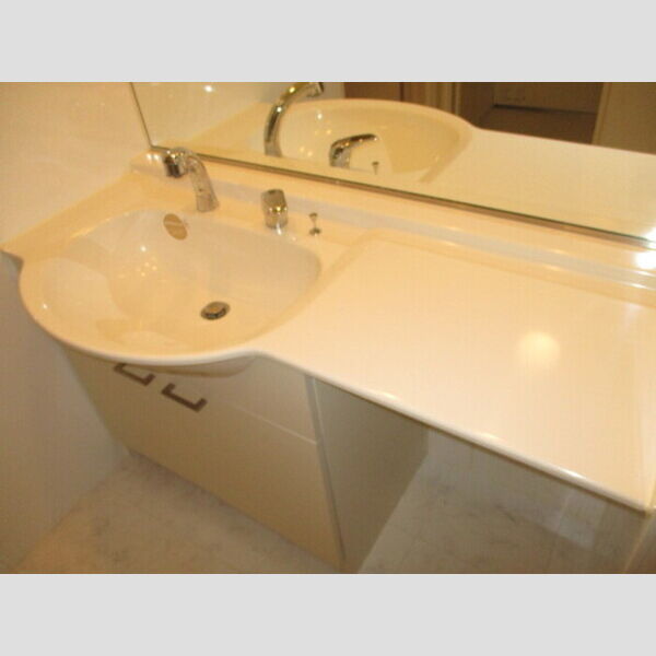 洗面所 (洗髪洗面化粧台)