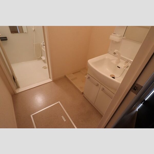 洗面所 (洗面所　洗髪洗面化粧台あり)