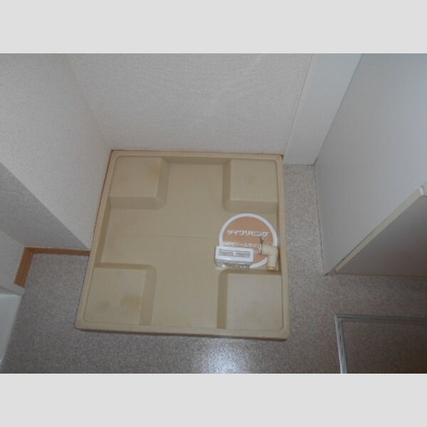 その他 (室内洗濯機置場)