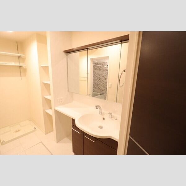 洗面所 (洗髪洗面化粧台)