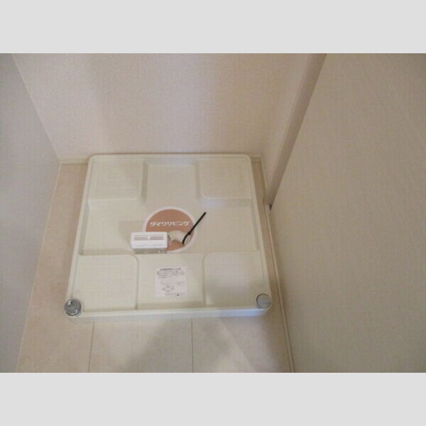 その他 (室内洗濯機置き場)