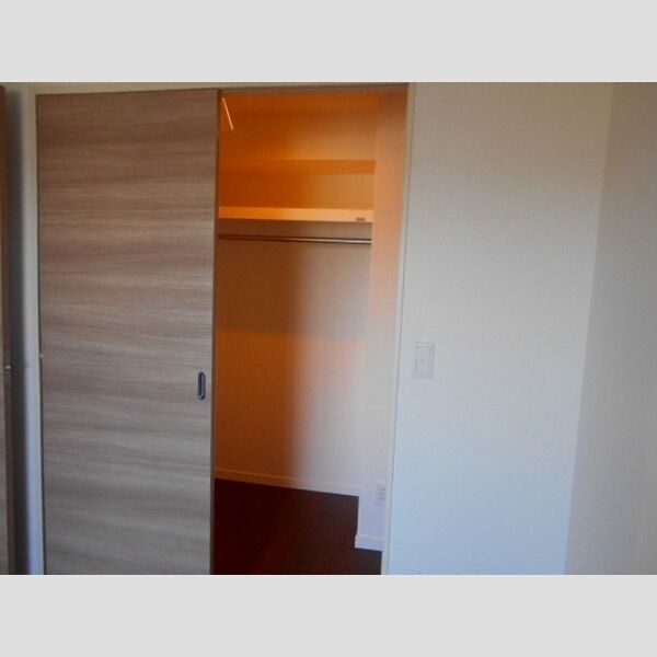 収納 (ウォークインクローゼット)