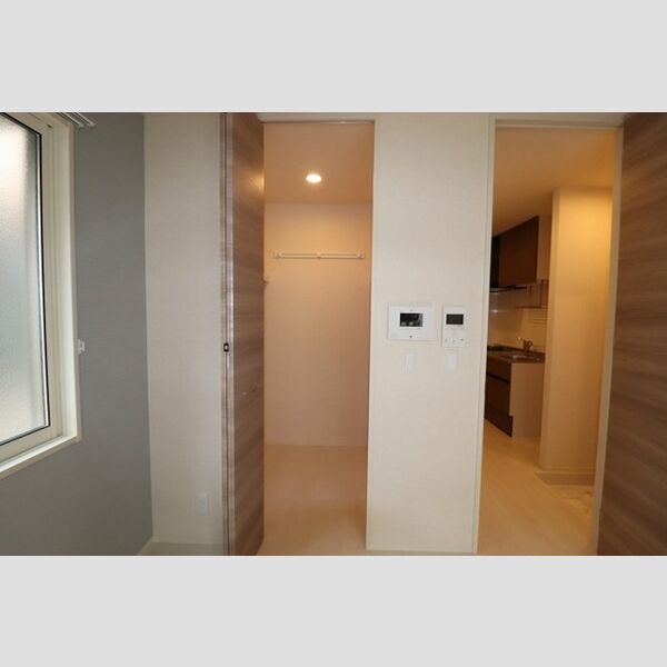 その他 (ウォークインクローゼット)