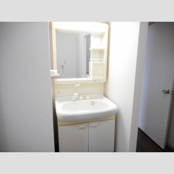 洗面所 (洗髪洗面化粧台)