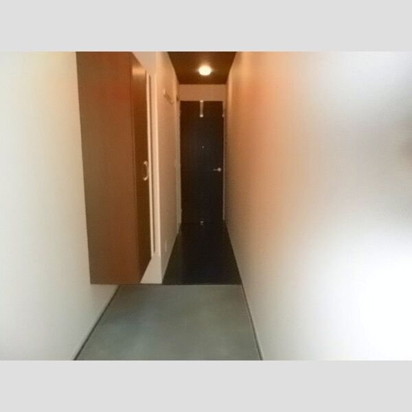 玄関 (玄関　シューズボックス(トールタイプ)あり)