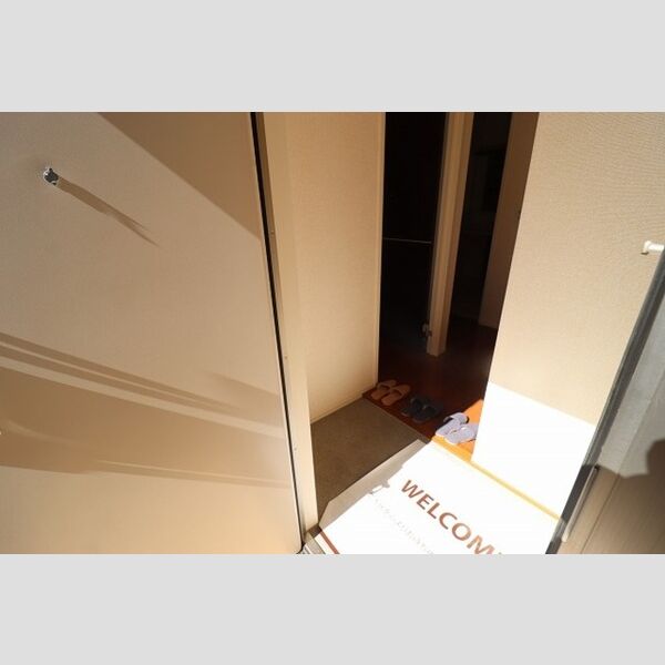 玄関 (玄関　シューズボックスあり)