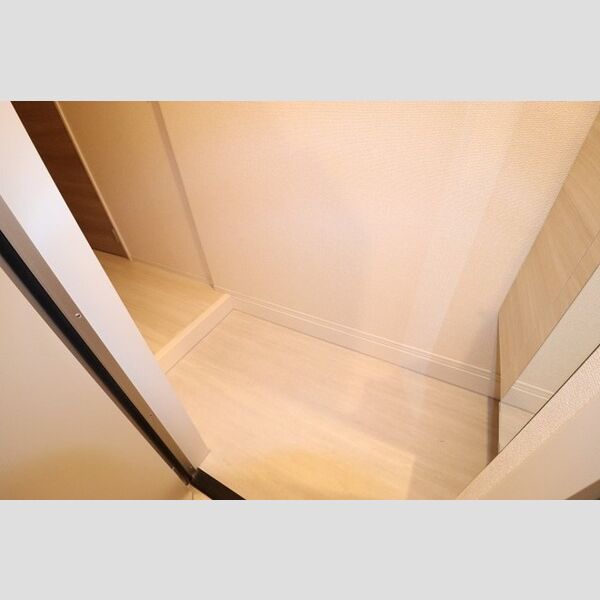 玄関 (玄関　シューズボックス(トールタイプ)あり)