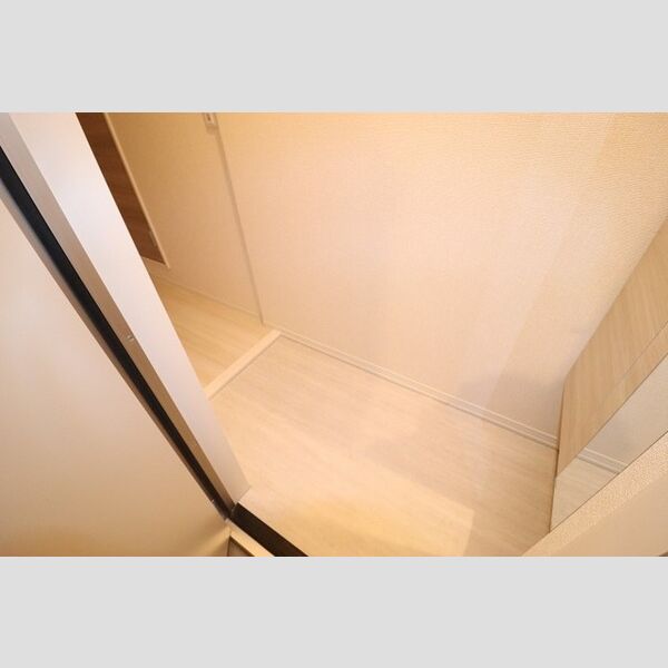 玄関 (玄関 シューズボックス(トールタイプ)あり)