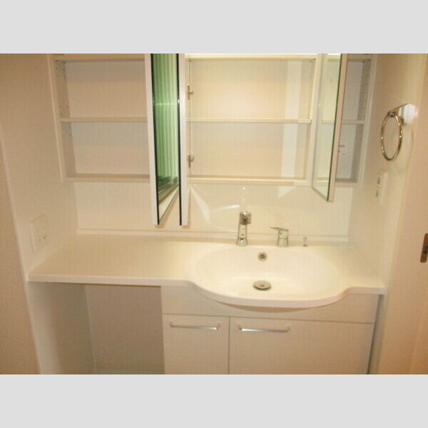 洗面所 (洗髪洗面台)