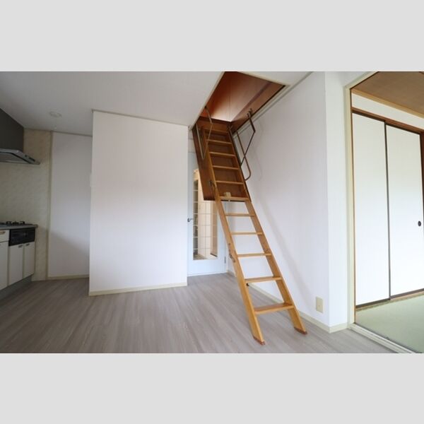 その他 (小屋裏収納)