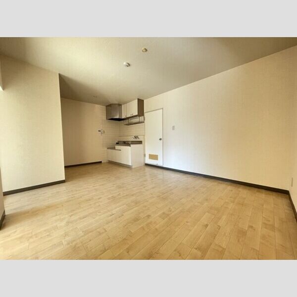 居室・リビング (リビング　11帖)