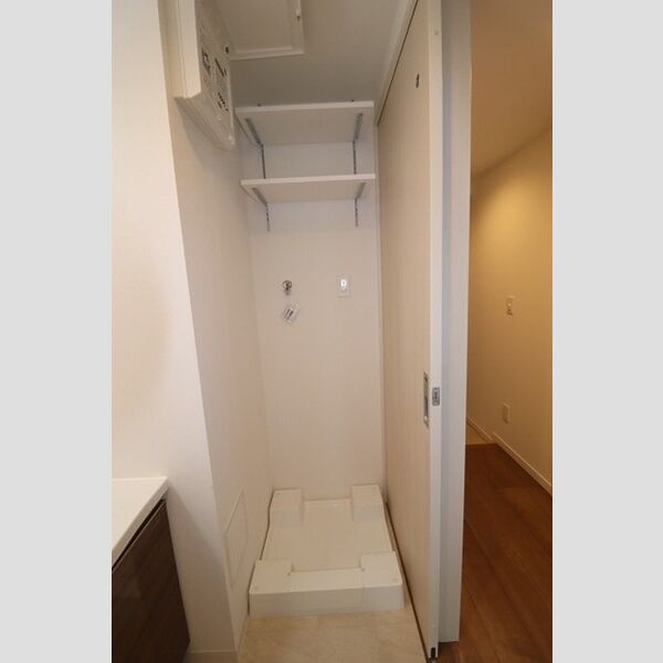 その他 (室内洗濯機置き場)