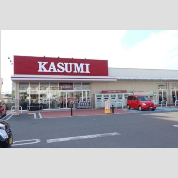 現地周辺 (カスミ柏たなか駅前店)