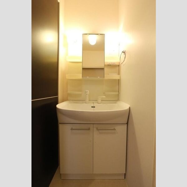 洗面所 (洗髪洗面化粧台)