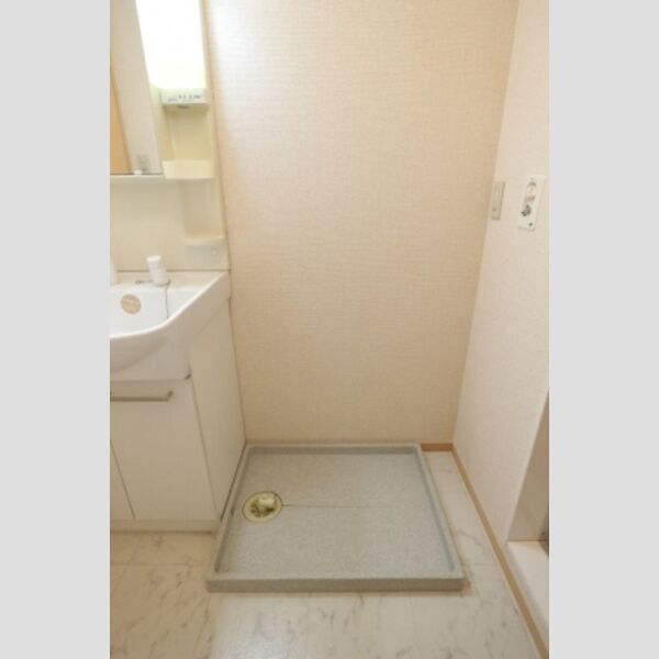 その他 (室内洗濯機置場)