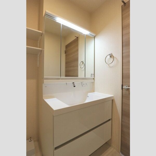 洗面所 (洗髪洗面化粧台)