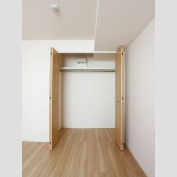 収納 (洋室6帖　クローゼット)