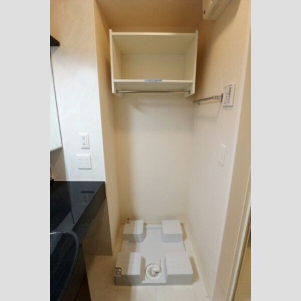 その他 (室内洗濯機置場)