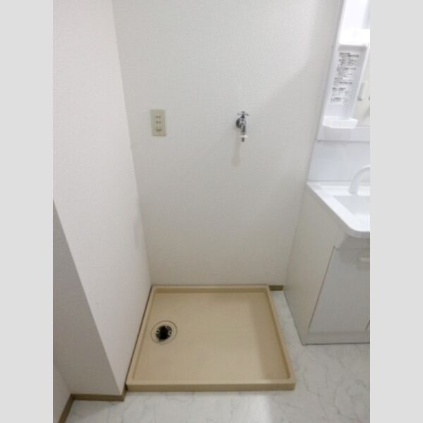 その他 (室内洗濯機置場)