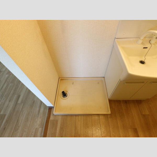 その他 (室内洗濯機置き場)