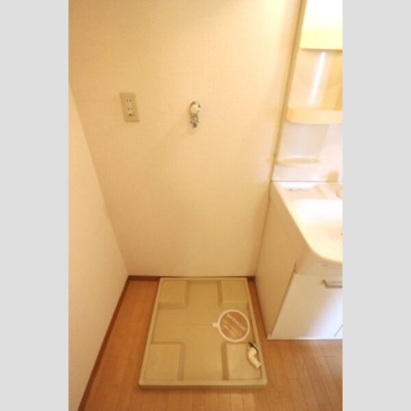 その他 (室内洗濯機置場)