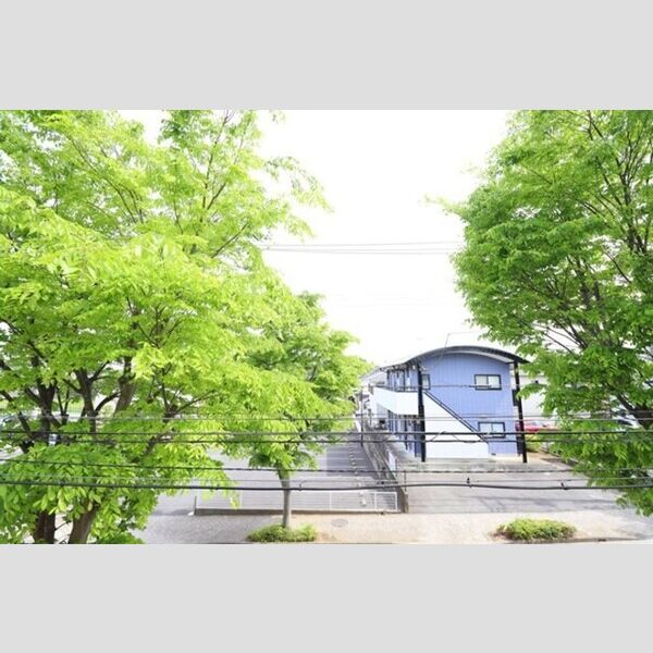 現地周辺 (お部屋からの眺めです)