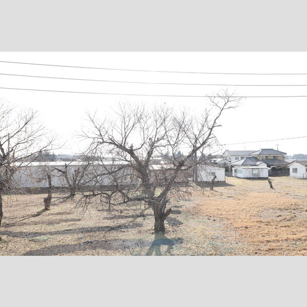 現地周辺 (お部屋からの眺めです)