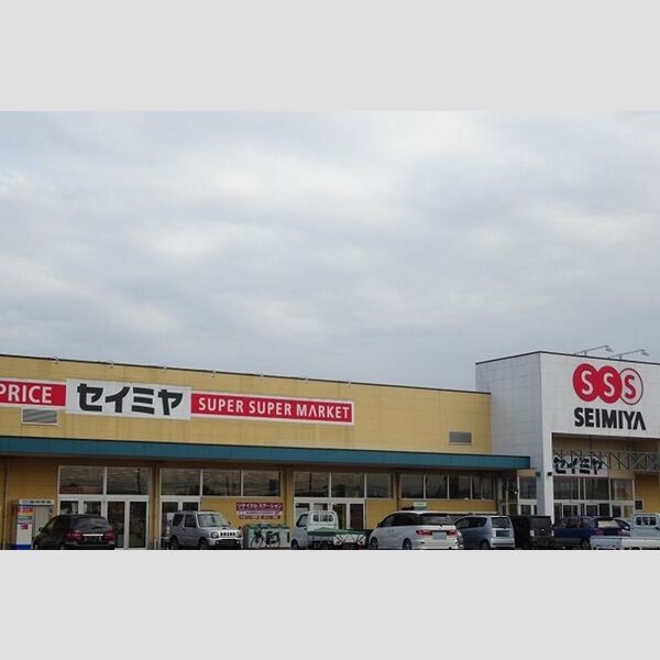 現地周辺 (セイミヤ鉾田舟木店)