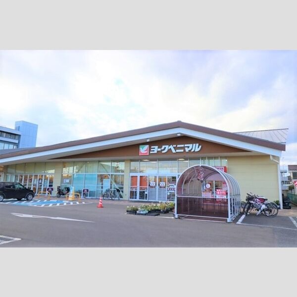 現地周辺 (ヨークベニマル新原店)