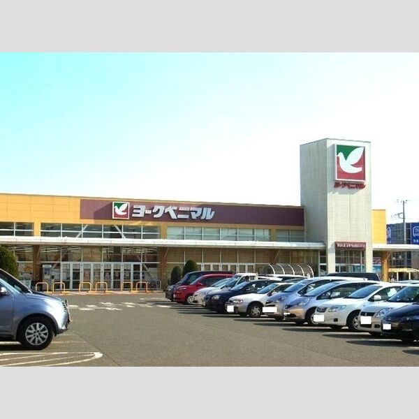 現地周辺 (ヨークベニマル赤塚店)