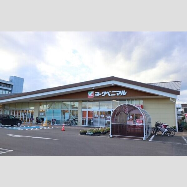 現地周辺 (ヨークベニマル新原店(1181m))