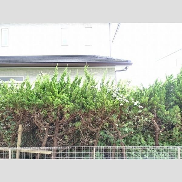 現地周辺 (お部屋からの眺めです)