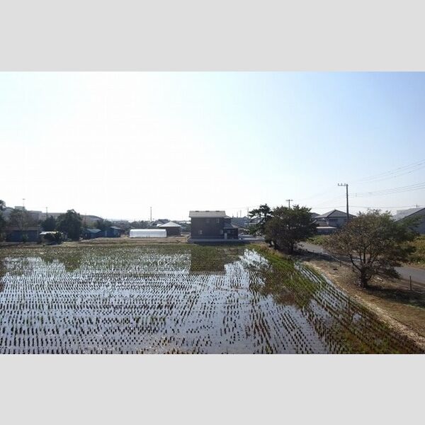 現地周辺 (お部屋からの眺めです)