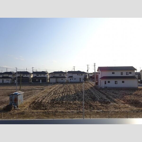 現地周辺 (お部屋からの眺めです)