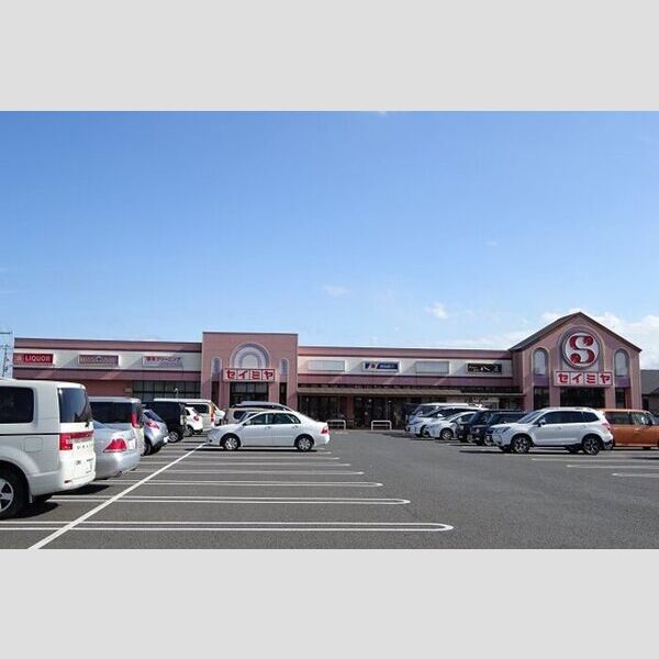 現地周辺 (セイミヤ神栖店)