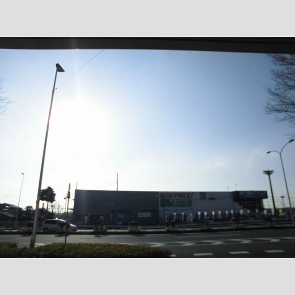 現地周辺 (お部屋からの眺めです)