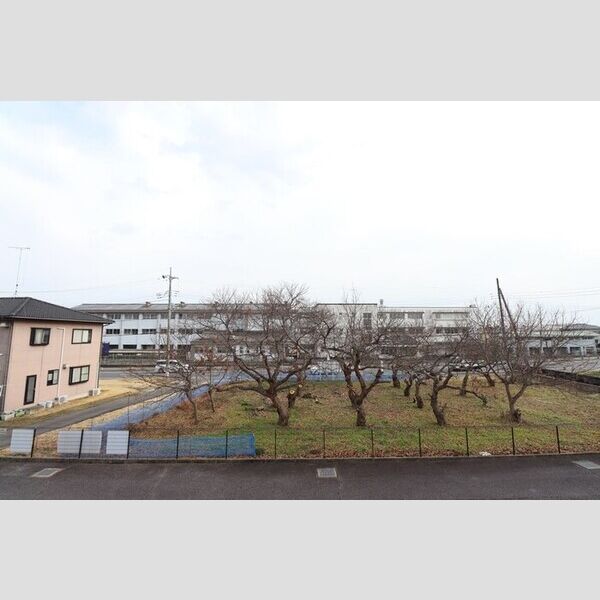 現地周辺 (お部屋からの眺めです)