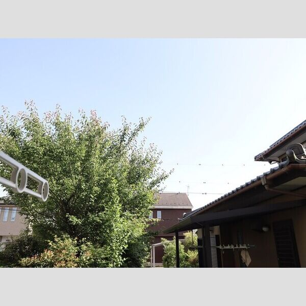 現地周辺 (お部屋からの眺めです)