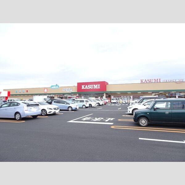 現地周辺 (カスミフードスクエア水戸西原店664m)
