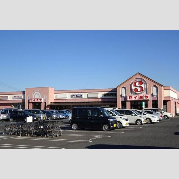 現地周辺 (セイミヤ神栖店)