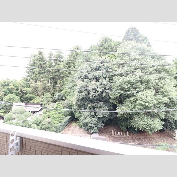 現地周辺 (お部屋からの眺めです)