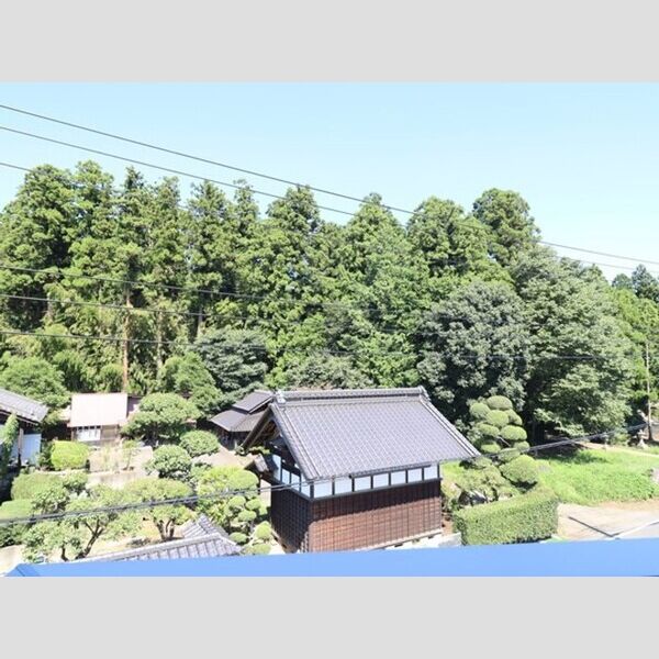 現地周辺 (お部屋からの眺めです)