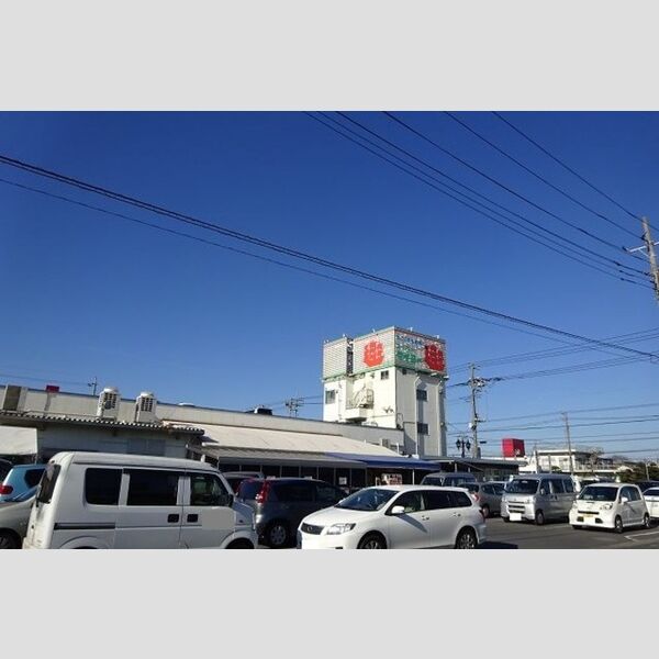 現地周辺 (スーパータイヨー神栖店　1133m)