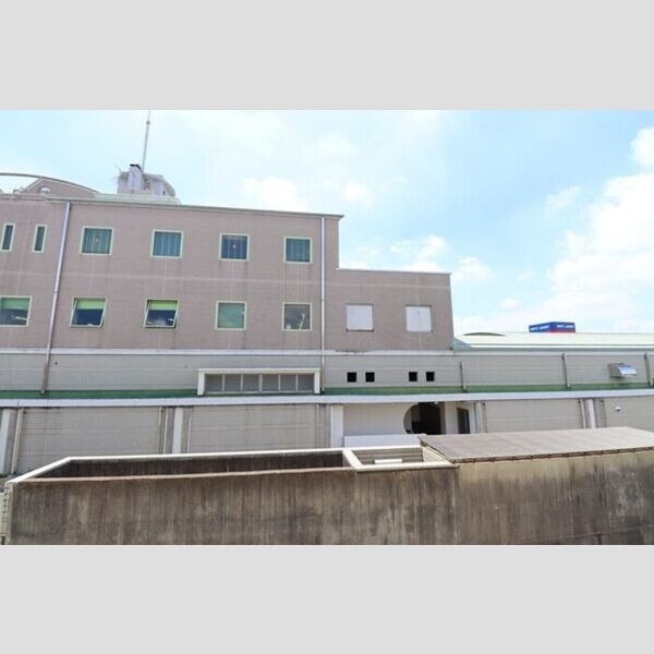 現地周辺 (お部屋からの眺めです)