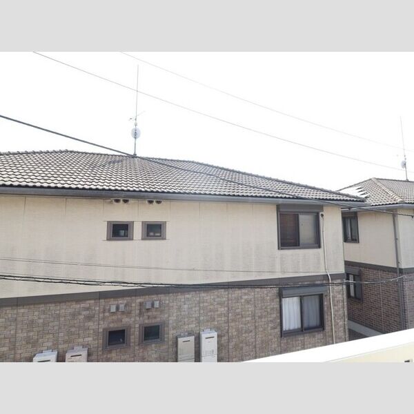 現地周辺 (お部屋からの眺めです)