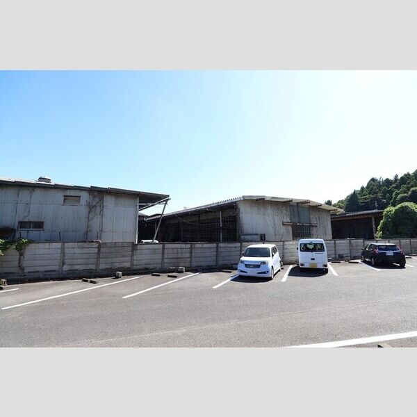 現地周辺 (お部屋からの眺めです)