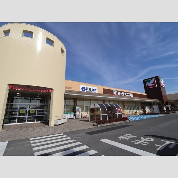 現地周辺 (ヨークベニマル水戸笠原店)