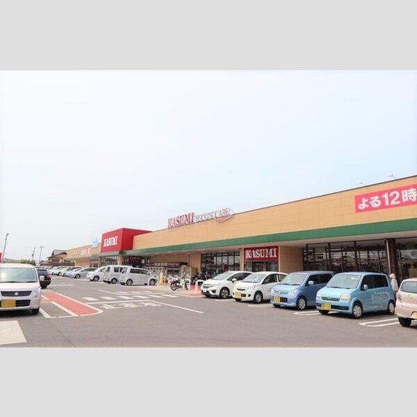 現地周辺 (カスミフードスクエア水戸西原店)