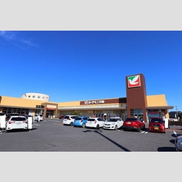 現地周辺 (ヨークベニマル赤塚店)