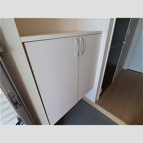 玄関 (シューズボックス)